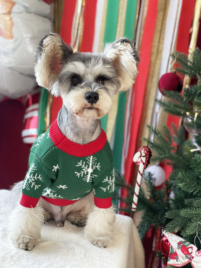 Suéter Navideño Acolchado para Perros - Abrigador Cómodo - Image 8