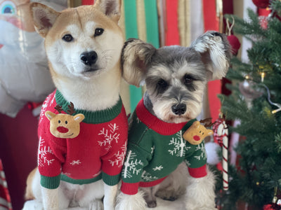 Suéter Navideño Acolchado para Perros - Abrigador Cómodo - Image 9