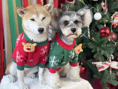 Suéter Navideño Acolchado para Perros - Abrigador Cómodo - Image 10