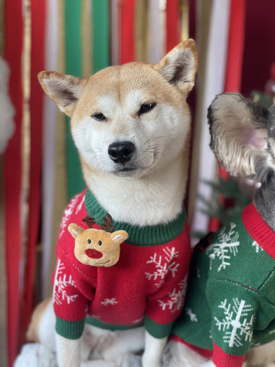 Suéter Navideño Acolchado para Perros - Abrigador Cómodo - Image 12