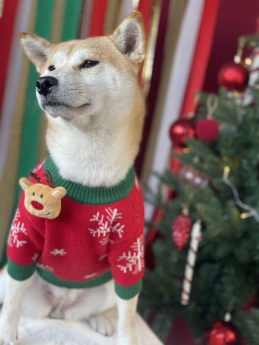 Suéter Navideño Acolchado para Perros - Abrigador Cómodo - Image 13