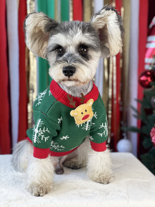 Suéter Navideño Acolchado para Perros - Abrigador Cómodo - Image 15