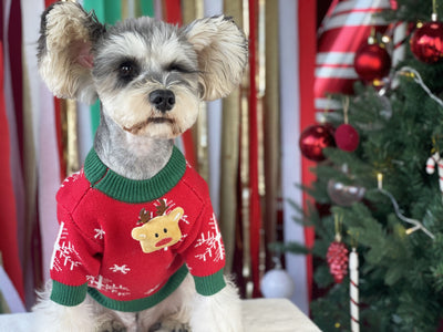 Suéter Navideño Acolchado para Perros - Abrigador Cómodo - Image 18
