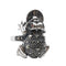 S925 Plateado Vintage Thai Plateado Maxai Dorado Cicada Frog Ring Golden toad Grande 13
