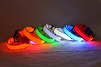 Collar Luminoso Fluorescente para Perros - Image 9