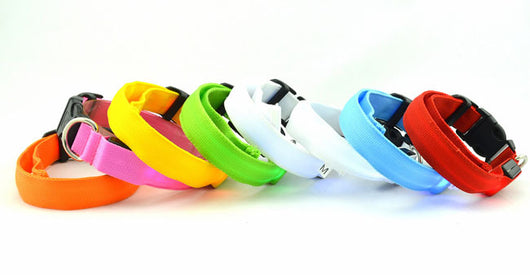 Collar Luminoso Fluorescente para Perros - Image 10