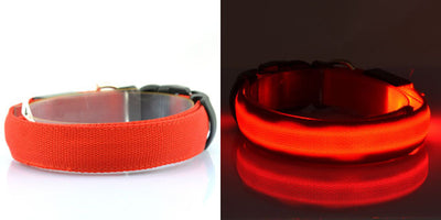 Collar Luminoso Fluorescente para Perros - Image 11