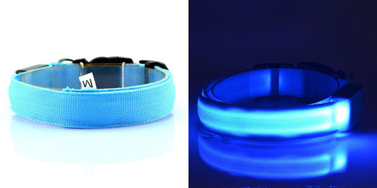 Collar Luminoso Fluorescente para Perros - Image 12