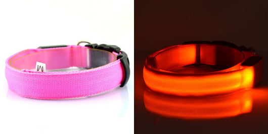 Collar Luminoso Fluorescente para Perros - Image 13