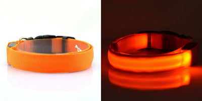 Collar Luminoso Fluorescente para Perros - Image 16