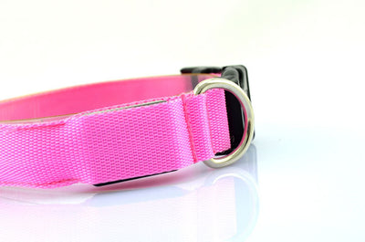 Collar Luminoso Fluorescente para Perros - Image 18