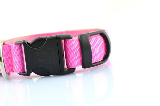 Collar Luminoso Fluorescente para Perros - Image 19