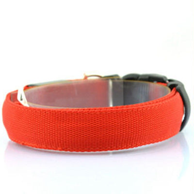 Collar Luminoso Fluorescente para Perros - Image 21
