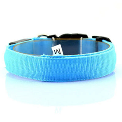 Collar Luminoso Fluorescente para Perros - Image 22