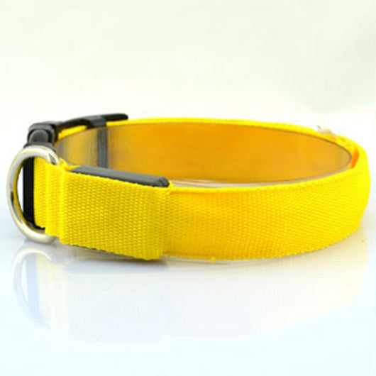 Collar Luminoso Fluorescente para Perros - Image 24