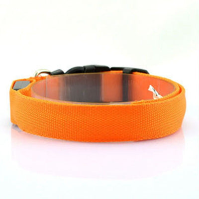 Collar Luminoso Fluorescente para Perros - Image 25