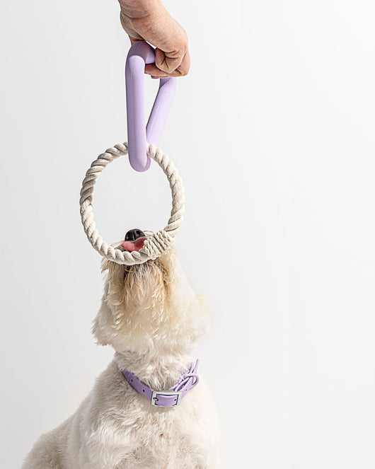 Juguete Interactivo de Cuerda TPR con Triángulo Masticable para Perros - Image 18