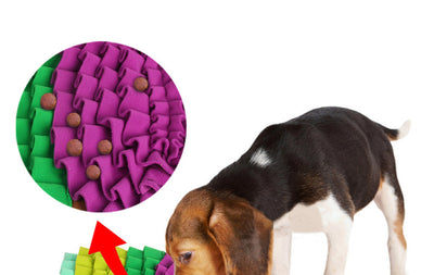 Tapete Olfativo Interactivo para Perros - Juego Antiestés - Image 8