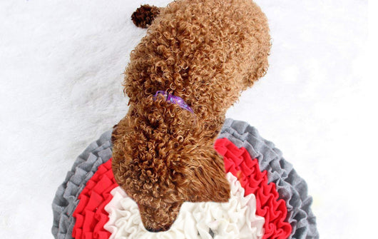 Tapete Olfativo Interactivo para Perros - Juego Antiestés - Image 14