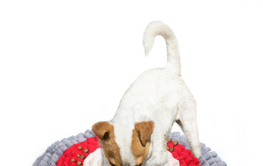Tapete Olfativo Interactivo para Perros - Juego Antiestés - Image 16