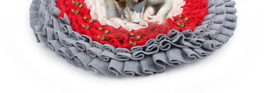 Tapete Olfativo Interactivo para Perros - Juego Antiestés - Image 17