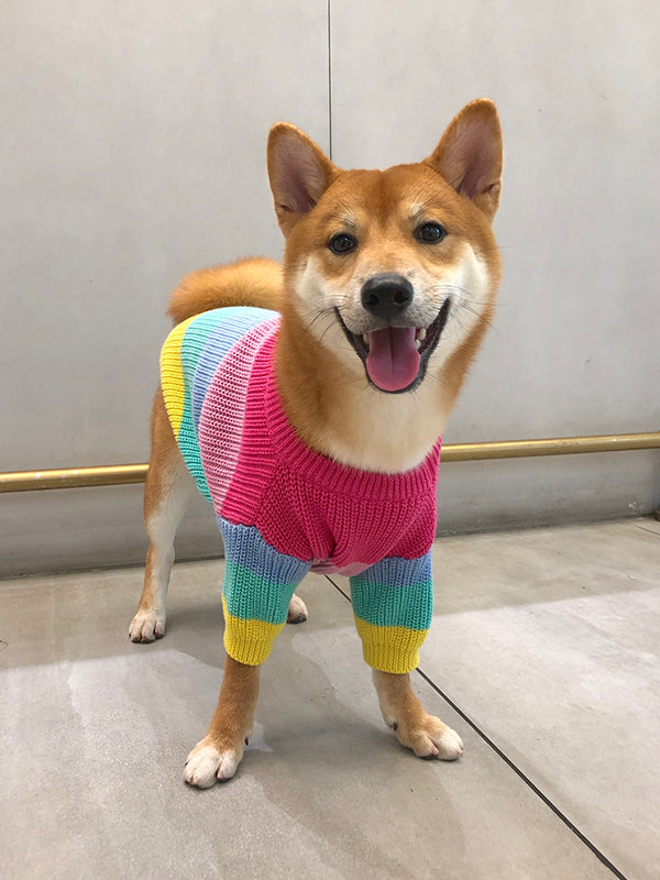 Suéter Arcoíris para Perros
