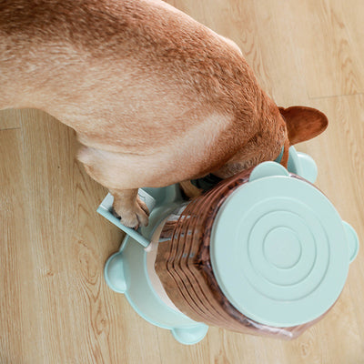 Comedero Automático Inteligente para Perros - Image 3