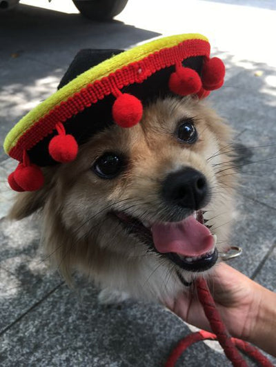 Sombreros de Perrito Hot Dog para Mascotas - Image 13