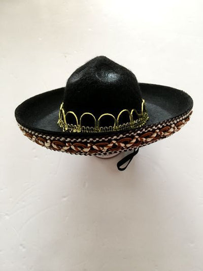 Sombreros de Perrito Hot Dog para Mascotas - Image 17