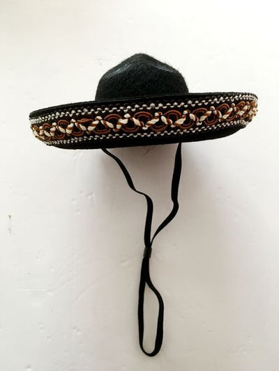 Sombreros de Perrito Hot Dog para Mascotas - Image 18