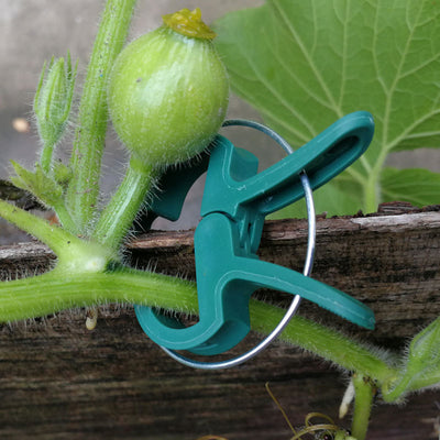 Clip Sujetador para Plantas - Image 3