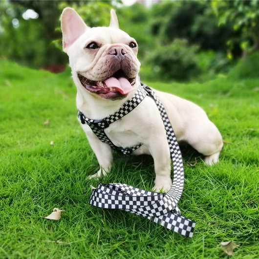 Arnés de Pecho y Espalda con Diseño Tartán para Perros - Image 9
