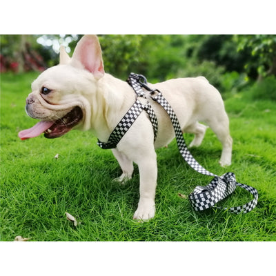 Arnés de Pecho y Espalda con Diseño Tartán para Perros - Image 10