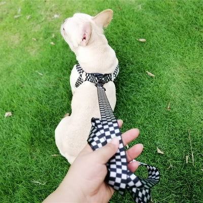 Arnés de Pecho y Espalda con Diseño Tartán para Perros - Image 11