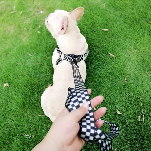 Arnés de Pecho y Espalda con Diseño Tartán para Perros - Image 11