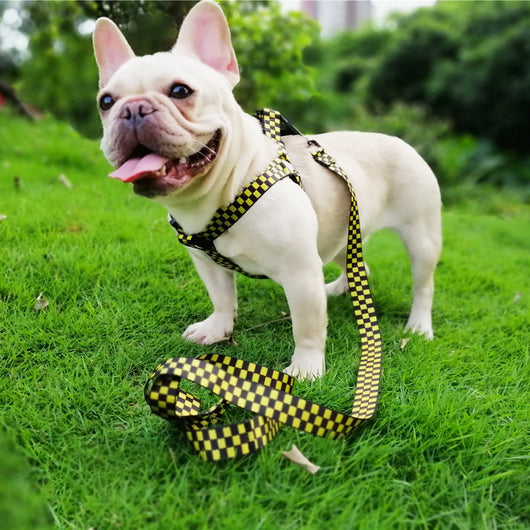 Arnés de Pecho y Espalda con Diseño Tartán para Perros - Image 12