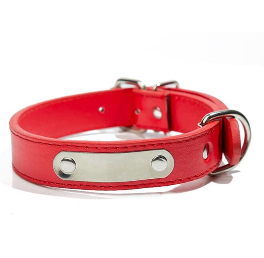 Collar Personalizado para Mascota con Placa de Identificación Grabada - Image 8