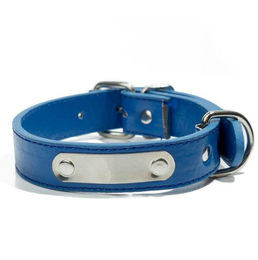 Collar Personalizado para Mascota con Placa de Identificación Grabada - Image 9