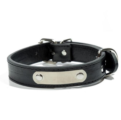 Collar Personalizado para Mascota con Placa de Identificación Grabada - Image 10
