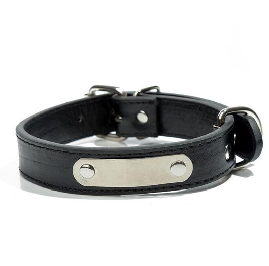Collar Personalizado para Mascota con Placa de Identificación Grabada - Image 10