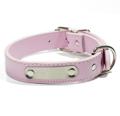 Collar Personalizado para Mascota con Placa de Identificación Grabada - Image 11