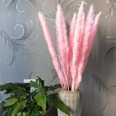 Flores Secas de Caña Decorativas para el Hogar - Image 15