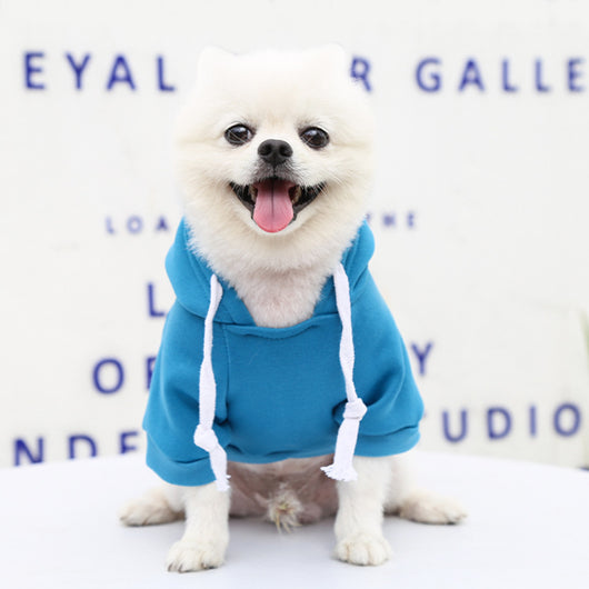Suéter de Invierno para Perros y Gatos con Bolsillo y Cierre - Image 32