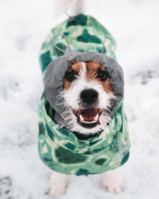 Abrigo Acolchado Térmico para Perros - Traje de Invierno - Image 13