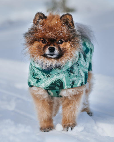 Abrigo Acolchado Térmico para Perros - Traje de Invierno - Image 15