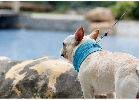 Pañuelo Refrescante para Perros - Bandana Enfriadora de Verano - Image 10