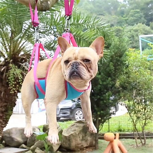 Hamaca de Aseo para Mascotas con Kit Completo de Cortaúñas - Image 16