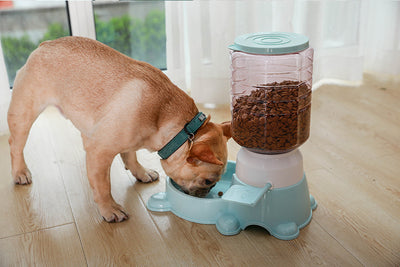 Comedero Automático Inteligente para Perros - Image 14
