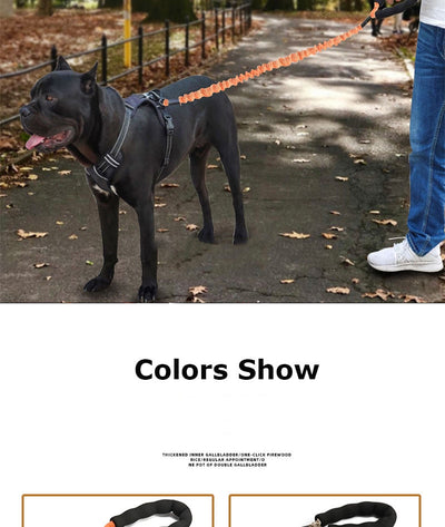 Arnés de Tracción Elástico para Perros Grandes - Pecho y Espalda - Image 16