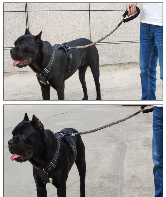 Arnés de Tracción Elástico para Perros Grandes - Pecho y Espalda - Image 18